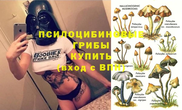 ALPHA PVP Арсеньев