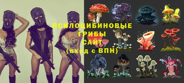 mdpv Аркадак