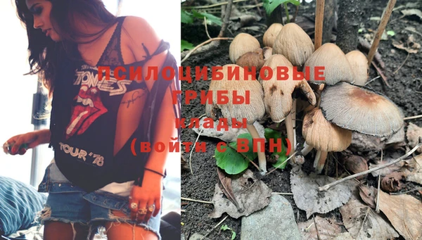 ALPHA PVP Арсеньев